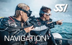 Navigation