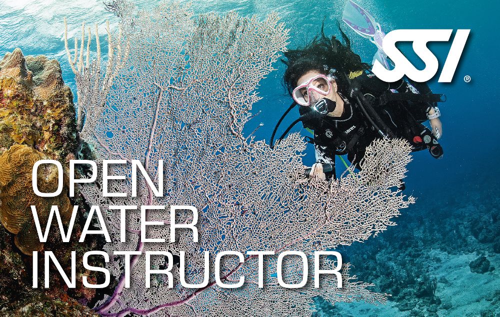 Kurs Open Water Instructor