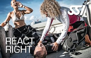 React Right