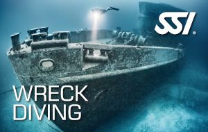 Wreck