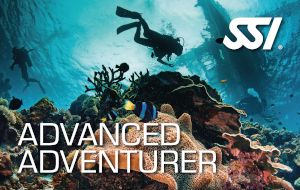 Advanced Adventurer