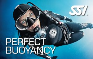 Perfect Bouyancy