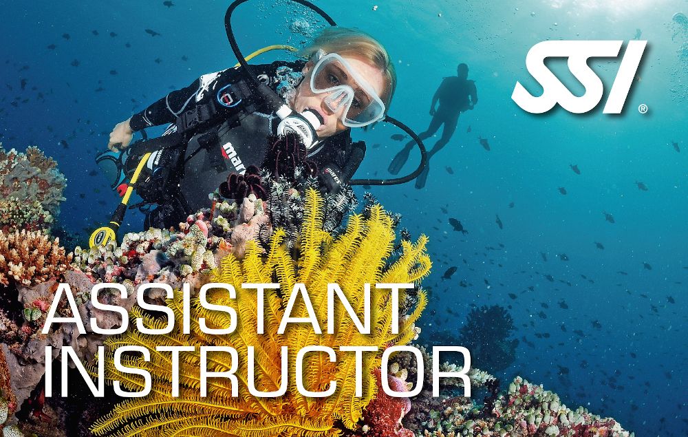 Kurs Assistant Instructor