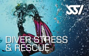 Stress and Rescue