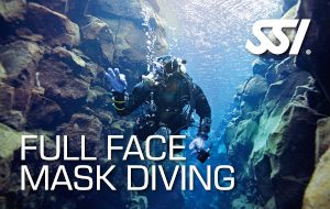 Full Face Mask