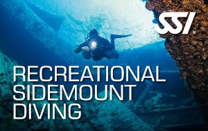 Sidemount