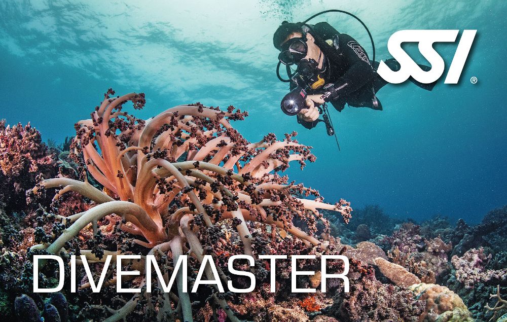 Kurs Divemaster