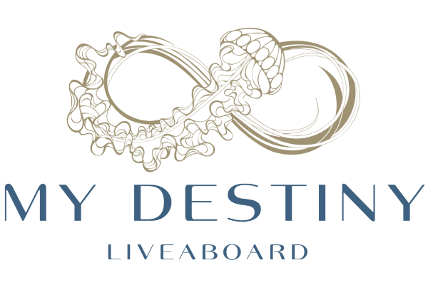 Logo MY Destiny