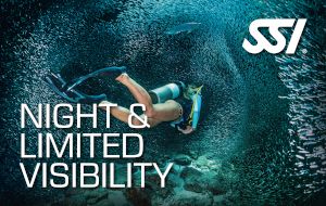 Night & Limited Visibility