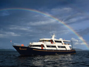 Mermaid II Schiff